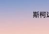 斯柯达标的含义