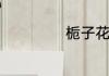 栀子花的食用方法