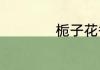 栀子花香香味有毒吗
