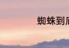 蜘蛛到底是不是昆虫