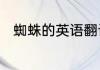 蜘蛛的英语翻译蜘蛛用英语怎么说