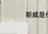 斯威是什么牌子的车
