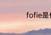 fofie是什么意思广西