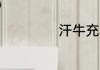 汗牛充栋造句20字