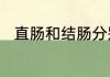 直肠和结肠分别在身体的哪个部位