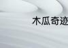木瓜奇迹魔剑如何加点