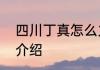 四川丁真怎么火的四川丁真火的原因介绍