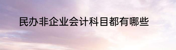 民办非企业会计科目都有哪些