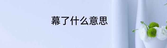 幕了什么意思