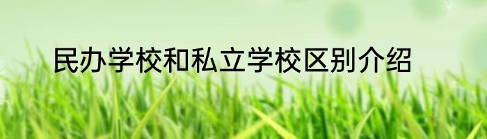 民办学校和私立学校区别介绍