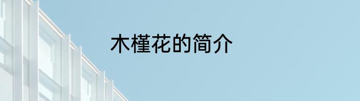 木槿花的简介