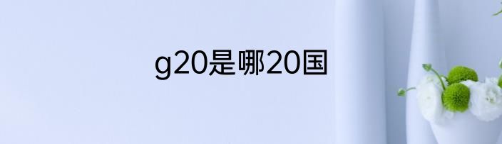 g20是哪20国