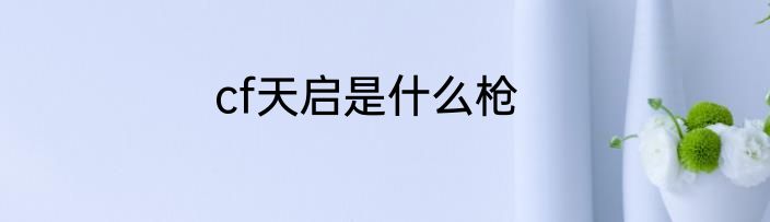 cf天启是什么枪