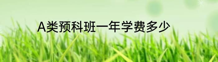 A类预科班一年学费多少