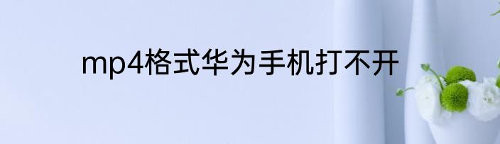 mp4格式华为手机打不开