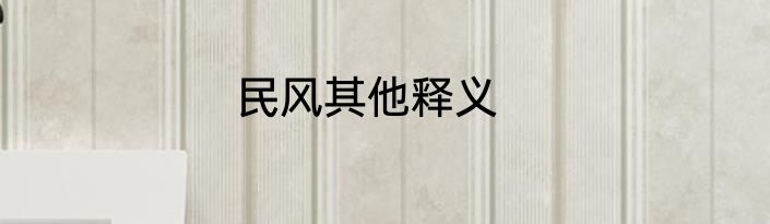 民风其他释义