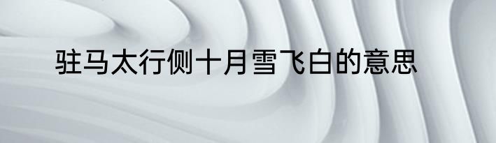 驻马太行侧十月雪飞白的意思