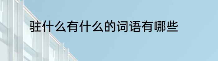 驻什么有什么的词语有哪些