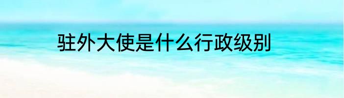 驻外大使是什么行政级别
