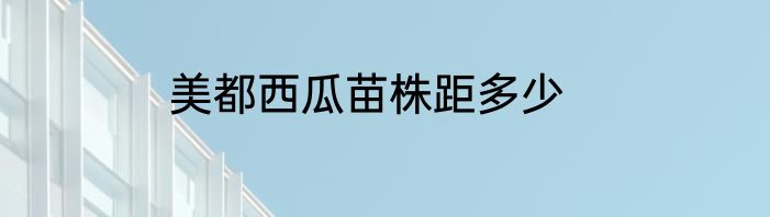 美都西瓜苗株距多少