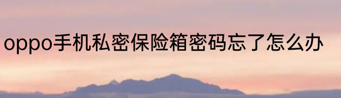 oppo手机私密保险箱密码忘了怎么办
