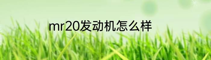 mr20发动机怎么样