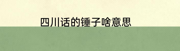 四川话的锤子啥意思