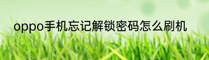 oppo手机忘记解锁密码怎么刷机