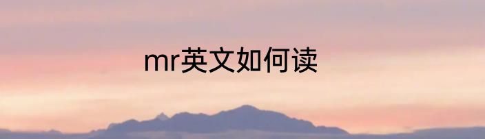 mr英文如何读