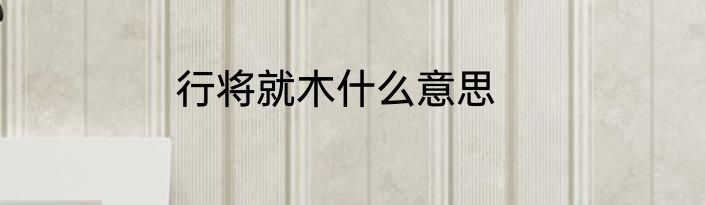 行将就木什么意思