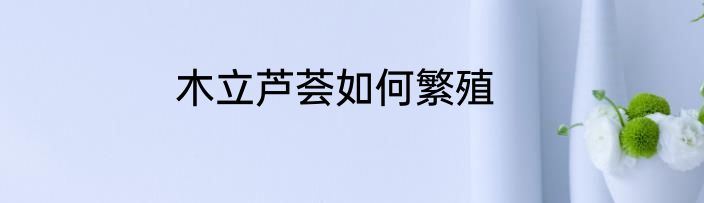 木立芦荟如何繁殖