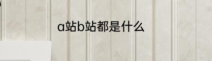 a站b站都是什么