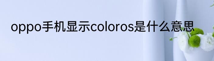 oppo手机显示coloros是什么意思