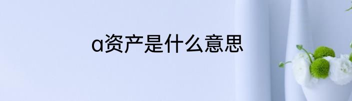 a资产是什么意思