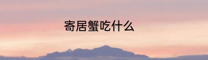 寄居蟹吃什么