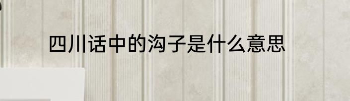 四川话中的沟子是什么意思