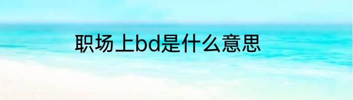 职场上bd是什么意思