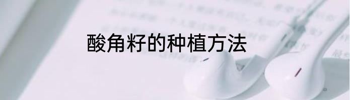 酸角籽的种植方法