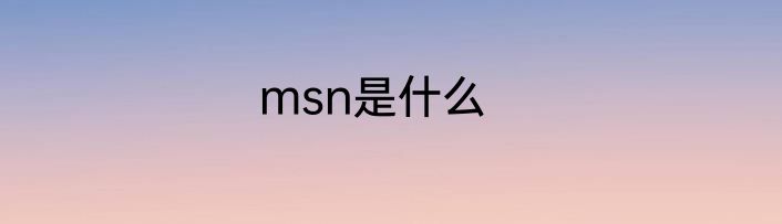 msn是什么