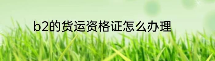b2的货运资格证怎么办理