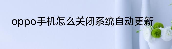 oppo手机怎么关闭系统自动更新
