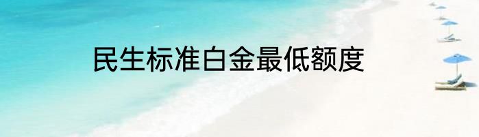 民生标准白金最低额度