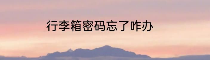 行李箱密码忘了咋办