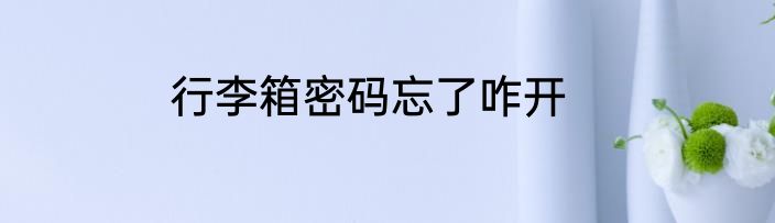 行李箱密码忘了咋开