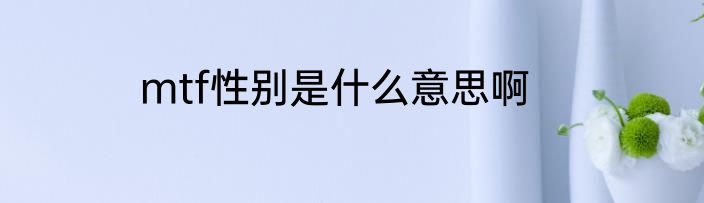 mtf性别是什么意思啊
