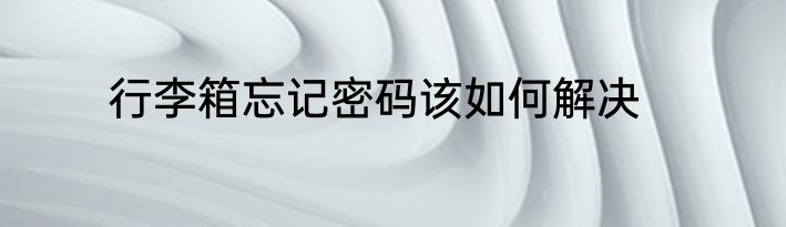 行李箱忘记密码该如何解决