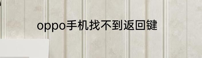 oppo手机找不到返回键