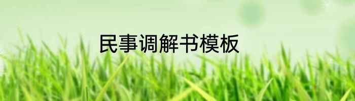 民事调解书模板
