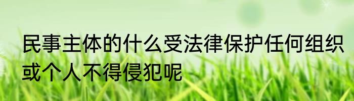 民事主体的什么受法律保护任何组织或个人不得侵犯呢