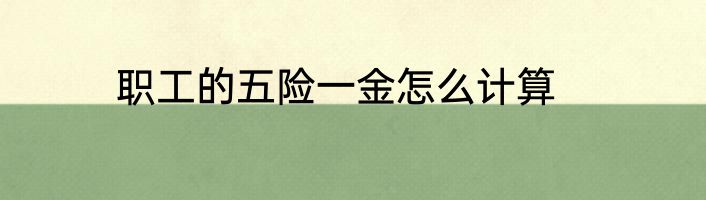 职工的五险一金怎么计算